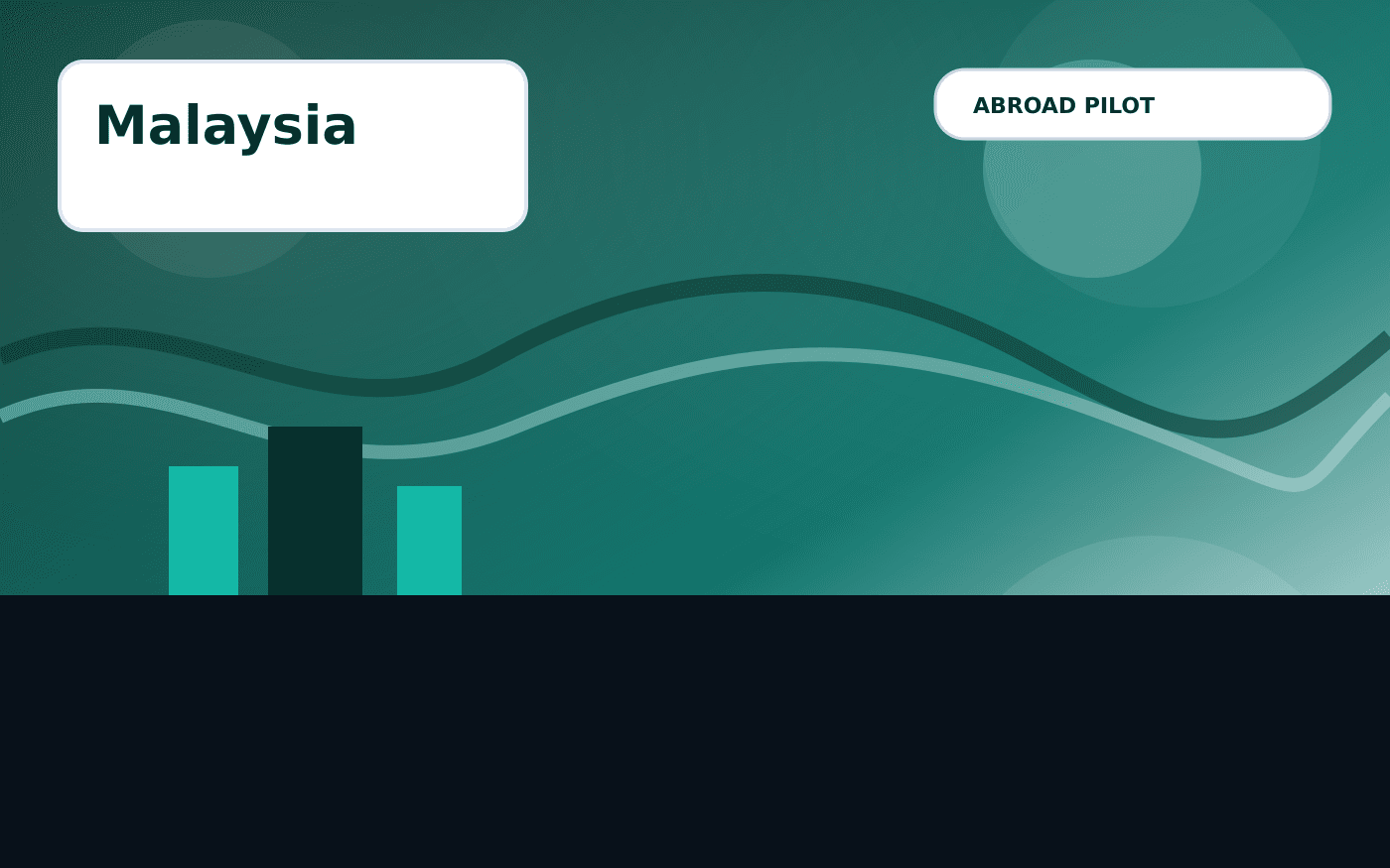 Malaysia Visa Guide illustration