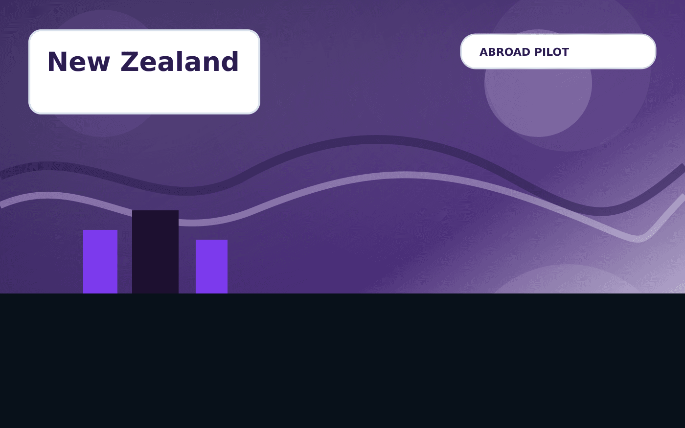 New Zealand Visa Guide illustration