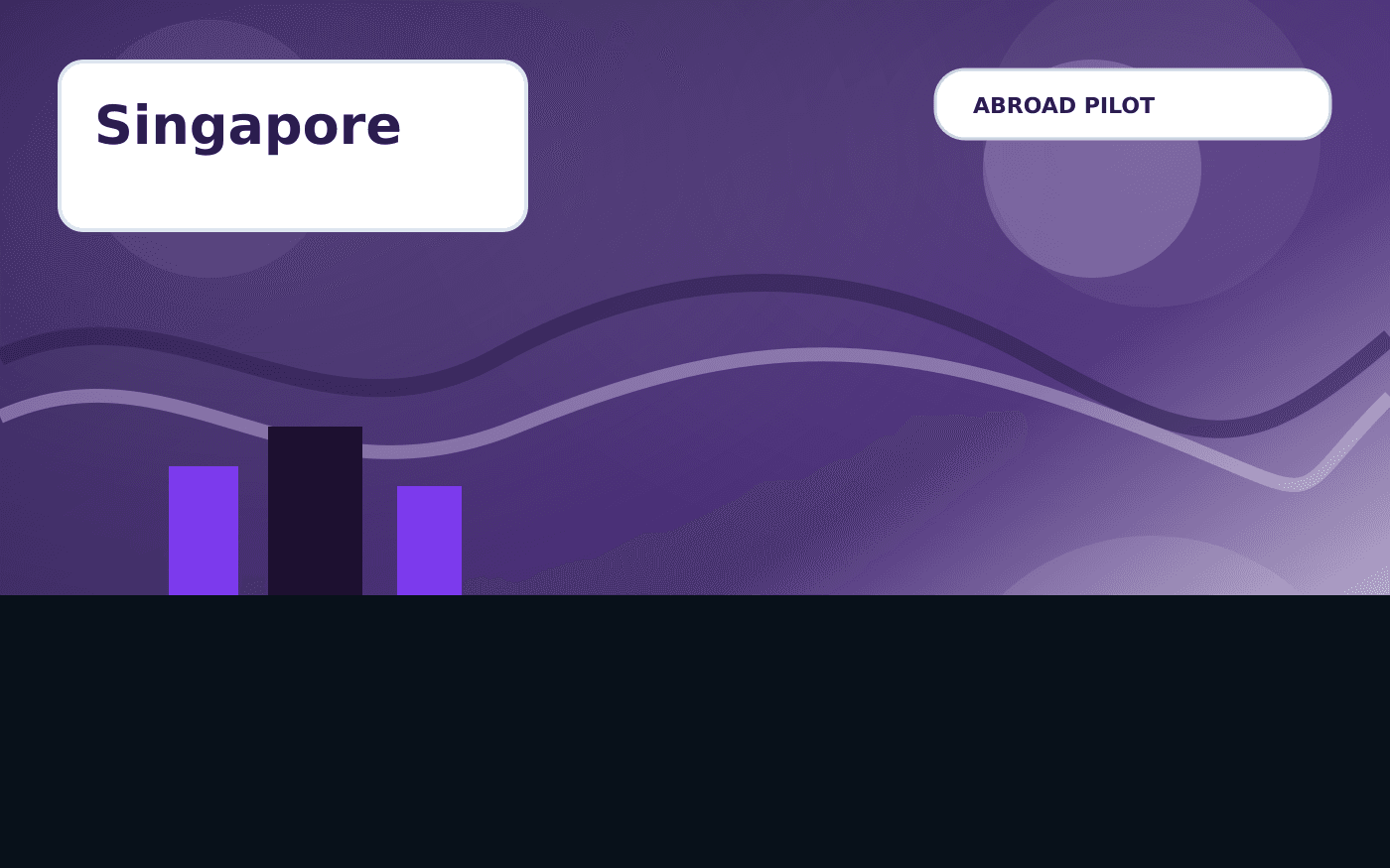 Singapore Visa Guide illustration