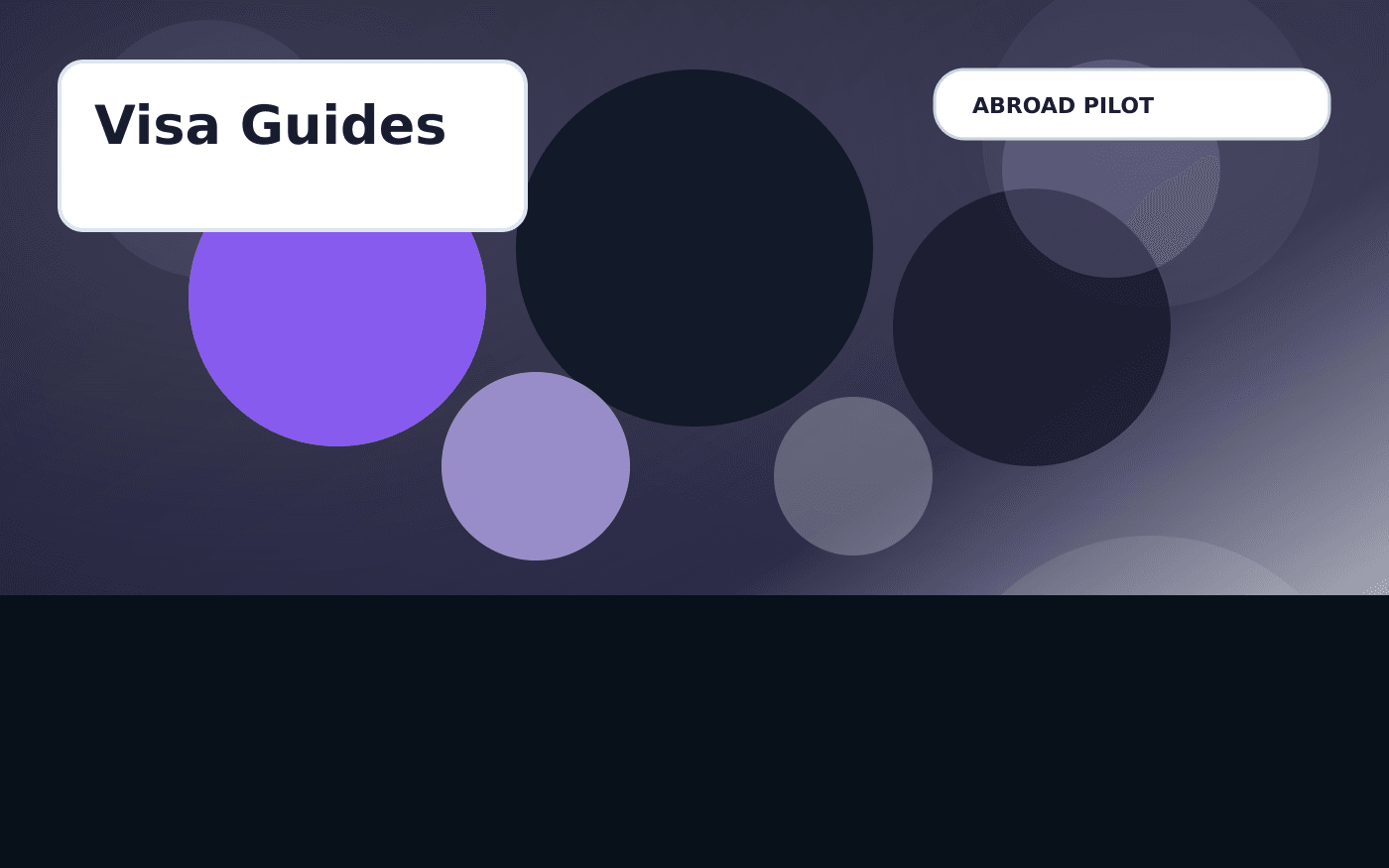Visa Guides illustration
